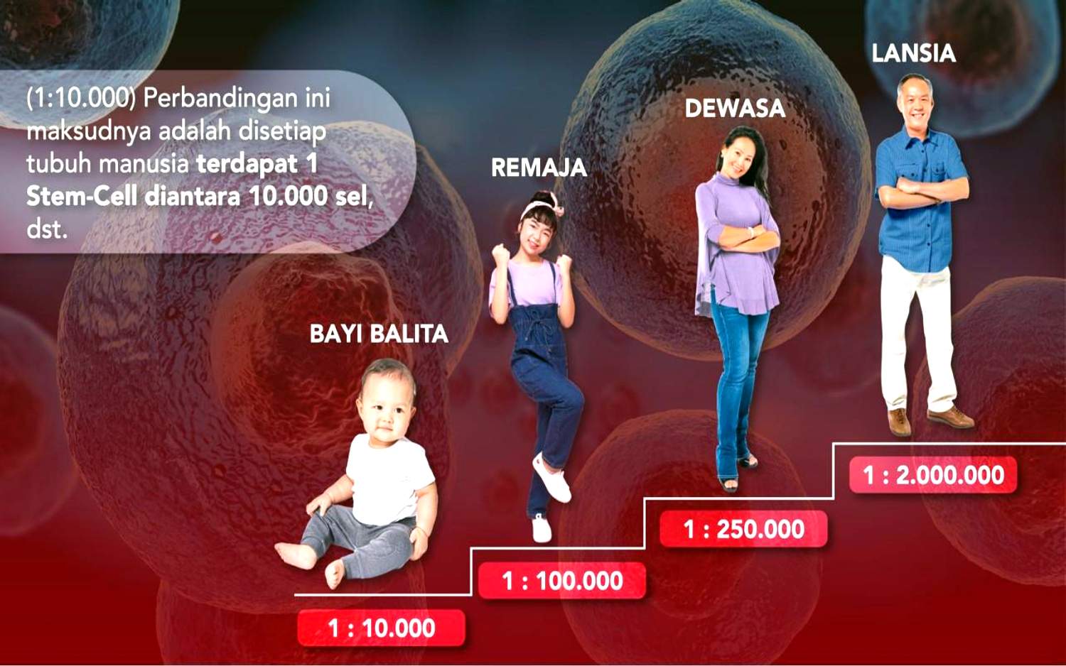 Presentasi AFC 15des25 short_page-0006