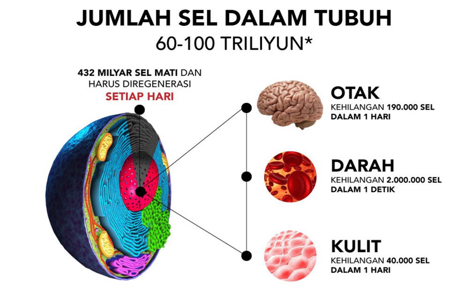 Presentasi AFC 15des25 short_page-0008